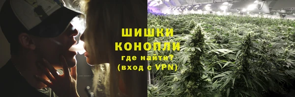 крисы Липки