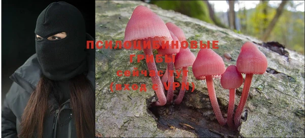 ПСИЛОЦИБИНОВЫЕ ГРИБЫ Лиски