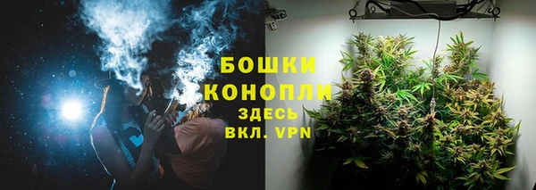 крисы Липки