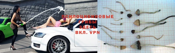 мет Ладушкин